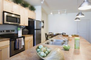 Kitchen with Stainless Steel Appliances