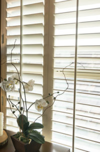 Learn everything you need to know about shades, blinds, and shutters!