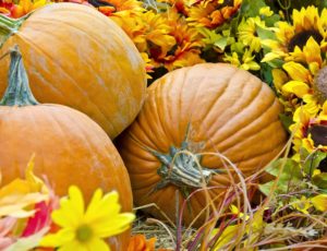 Pumpkins – They’re Not Just for Halloween