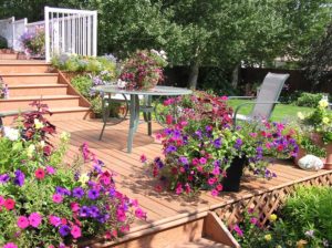 Deck Designs and Trends