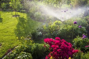 Is Installing a Yard Irrigation System Worth It?