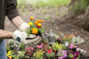 Columbia Builders Fall Garden Preparation