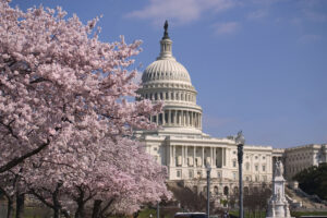 Columbia Builders National Cherry Blossom Festival