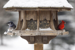 Columbia Builders Wildlife-Friendly Backyard