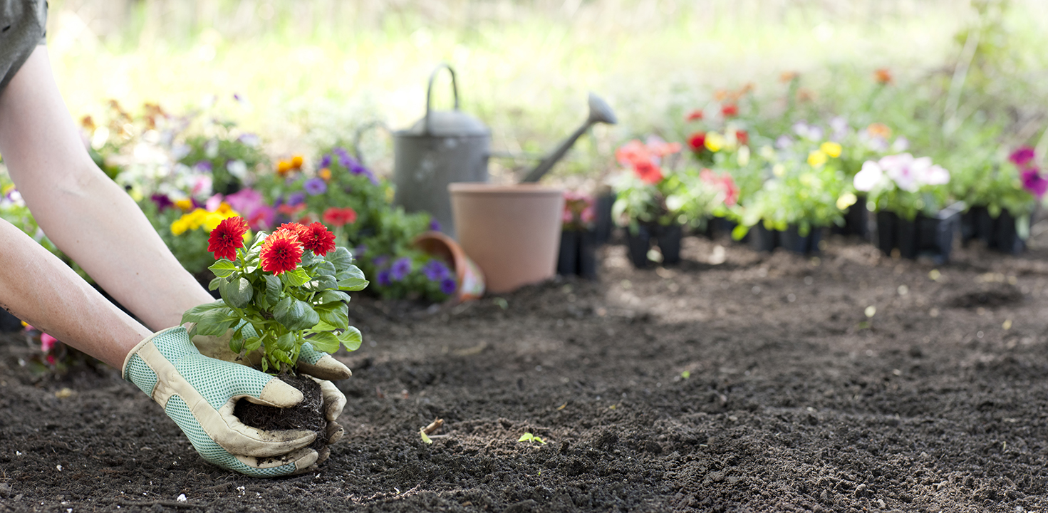Essential Fall Gardening Tasks for a Bountiful Spring - Columbia Builders