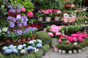 Columbia Builders Preparing Garden for Spring with Winter Tasks